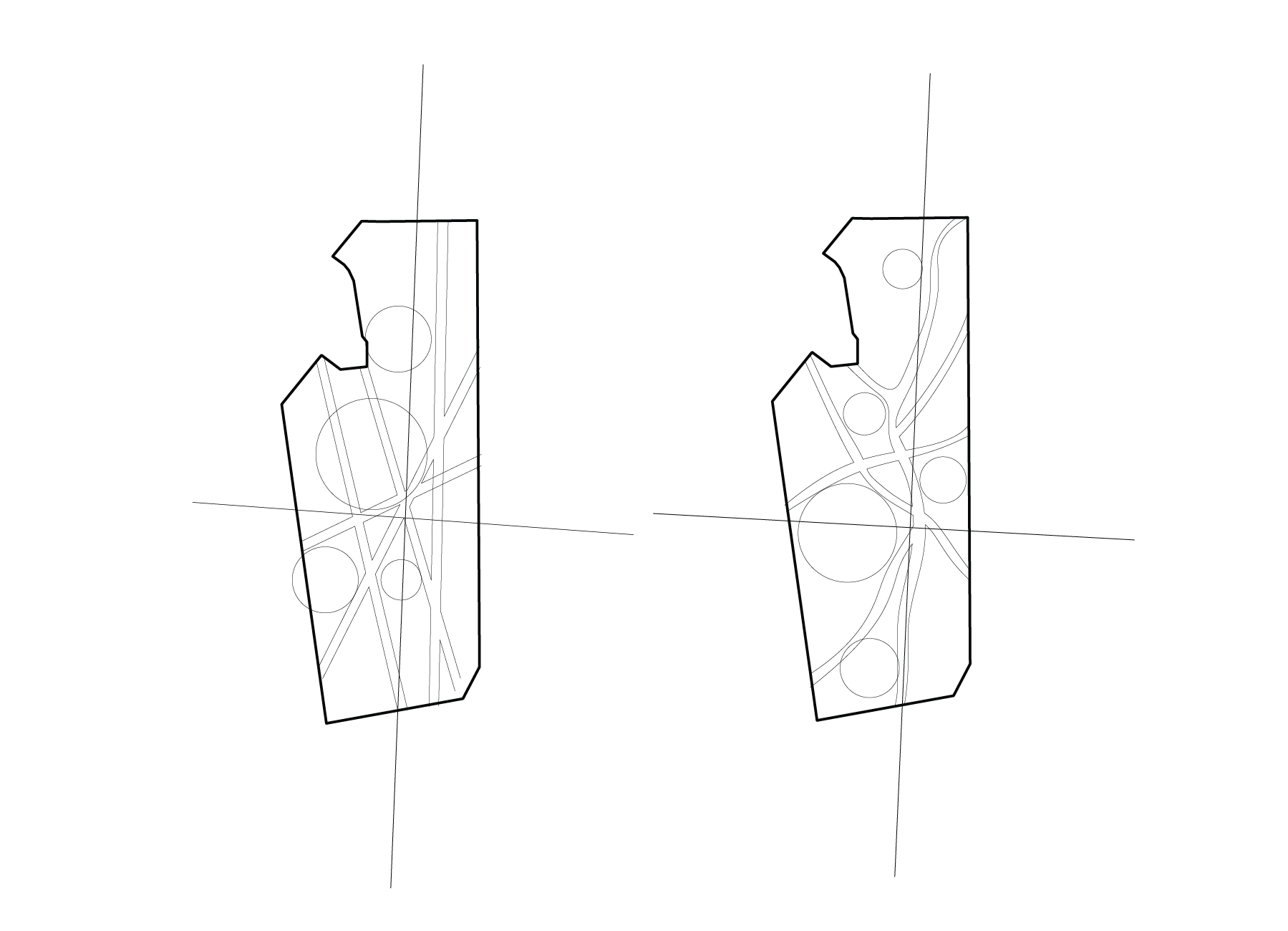 Cataracta drawing 01